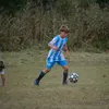 labriola_floro