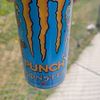 miamipup