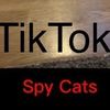 spycatsofficialreal