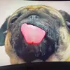 big_charles12