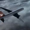 Birgenair 301