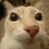emily_1216_
