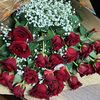 nur_7827