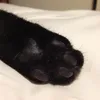 kcsmvabrcq6