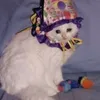 skyamy32wasaa