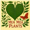 Mea Mea Plants