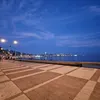 ro_alca2