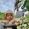 dung61141