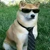 um_usurio_qualquer.1