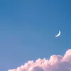 n9t10n2012