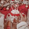 aesthetic_christmasxo