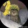 duy.nguyen1185