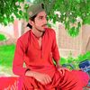 malik.salim.786