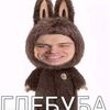 robertslide2