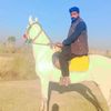 muhammadaligujjar096