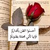 user295888127559300