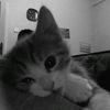 ssslcom_