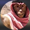 ميمون🦧.  5K⏳