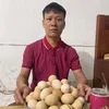 Cương Bao Tử  🥚