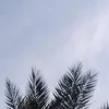 ijjjj880