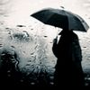 rain_man1391