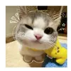 reynold.mcs
