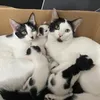 Tobby&Libby