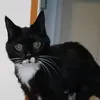susangrena2