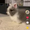 emmalol959