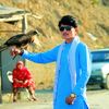 bakhtyar395