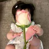 kav_12l