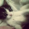 kseniiis13