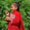 anjal_0097
