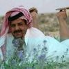 n_r_al