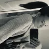 jademlld_