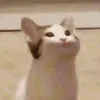chicken_nugget889987