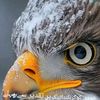 mushtaq64812