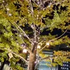 yuki48690629