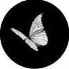 butterfly.nine41