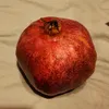 deechebag