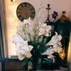 lilou.95__