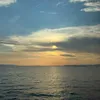 charlotte_224