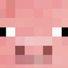 poopsock_.5436