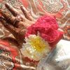 mahamfaraz23