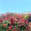 user5530847741124