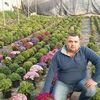 user6711431415863