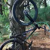 austin_mtb4