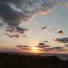 nmb_feli
