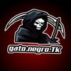 gato.oficial3