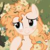 aurriaisheree.ily0